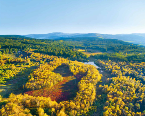 Rhön Kalender 2014